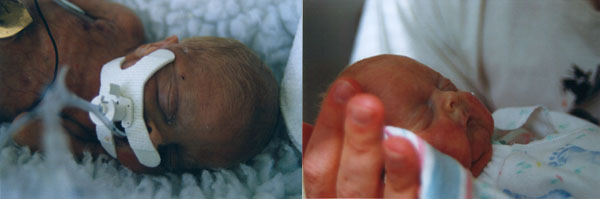 opener.jpg (25405 bytes)